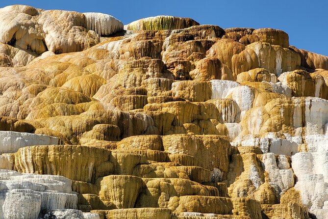 Northern Yellowstone Safari from Cody, WY - Lamar Valley, Yellowstone’s wildlife priority