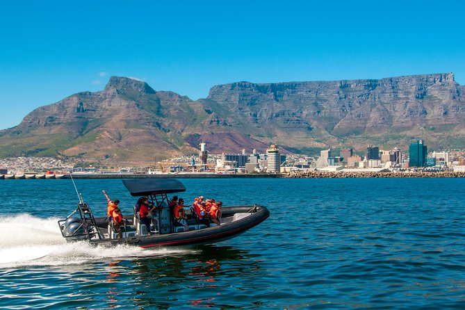 Ocean Safari - Key points before you book