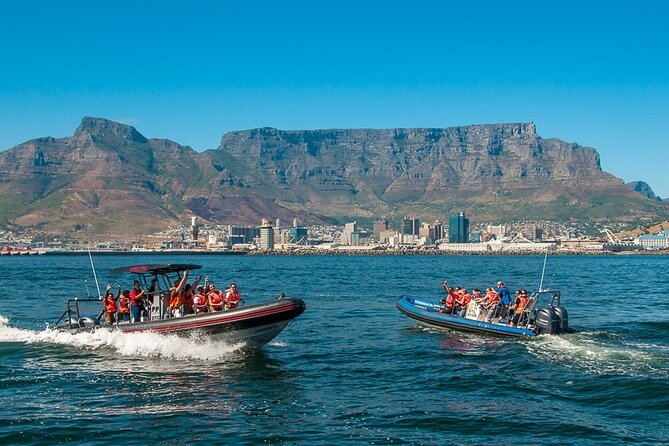 Ocean Safari - The wildlife possibilities
