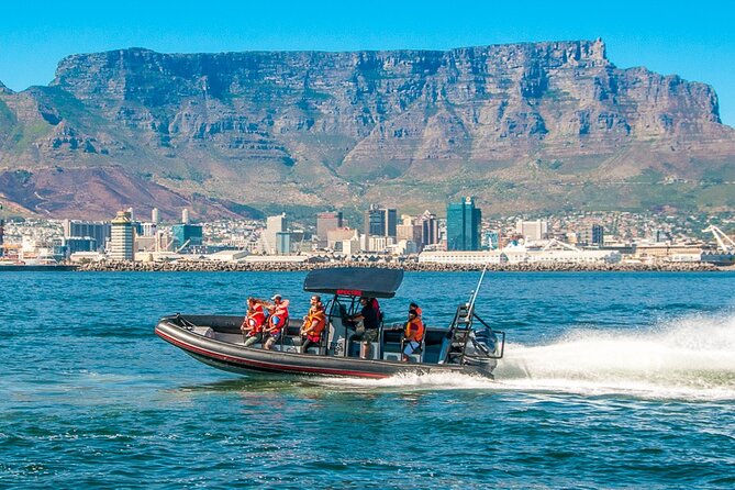 Ocean Safari - Who will enjoy this Ocean Safari most?