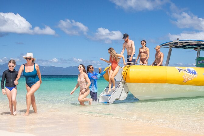 Ocean Safari Great Barrier Reef Experience in Cape Tribulation - What you may see beneath the surface