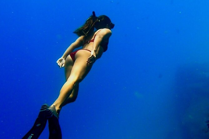 Ocean Safari Tour in Cabo San Lucas - Whales, dolphins, orcas, and the luck factor