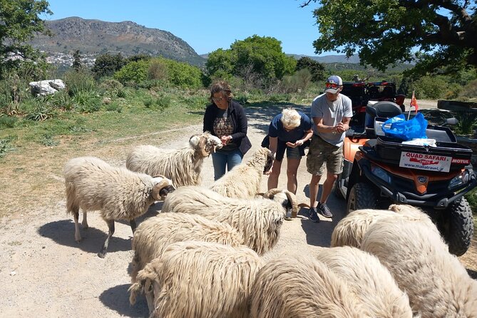 Off-road Buggy Safari in Crete with a Guide - Driving out from Malia toward Malia Palace