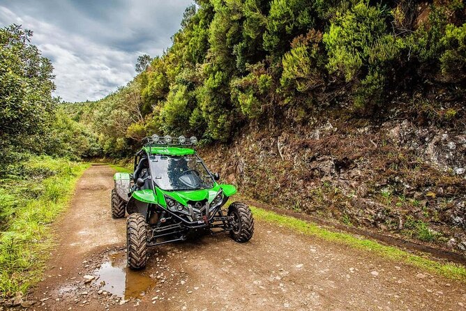 Off-road Buggy Safari in Crete with a Guide - Lunch at a traditional Sissi taverna