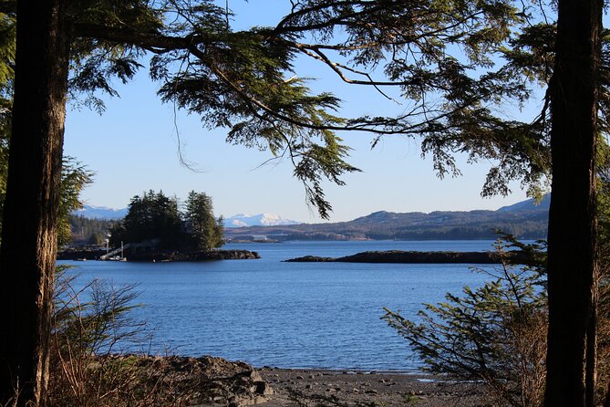 Off the Beaten Path Ketchikan Photo Safari - 3 hr. - Meeting at The Rock or Ward Cove