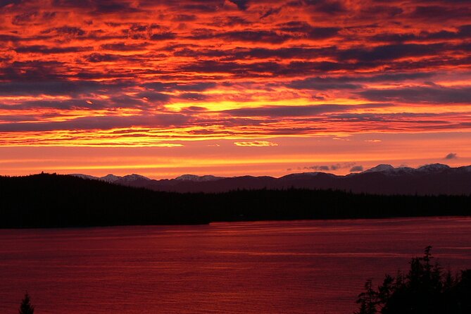 Off the Beaten Path Ketchikan Photo Safari - 3 hr. - Totem Heritage Center and the Fog Woman story