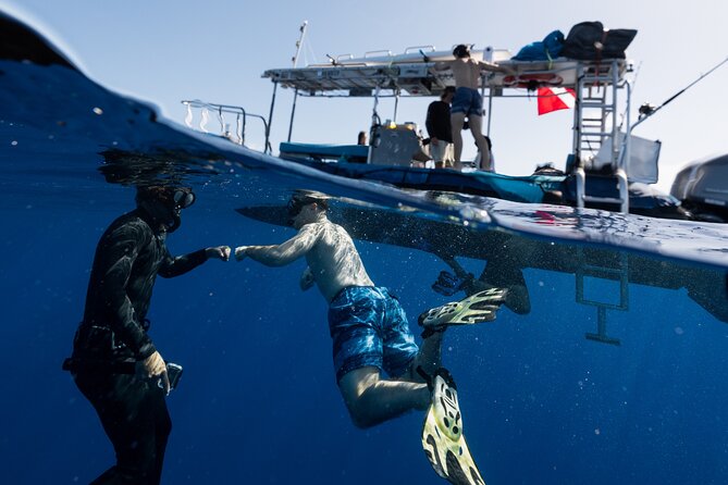 Offshore Wildlife Safari and Reef Snorkel - Practical details that make the day easier