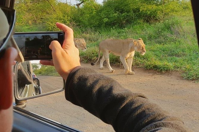 Open Vehical Safari in Kruger National Park Half Day - The open vehicle makes a real difference