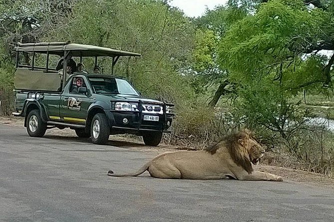 Open Vehical Safari in Kruger National Park Half Day - A guide who can shape the search