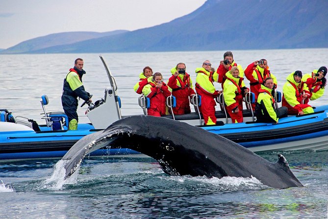 Original Big Whale Safari & Puffins Speedboat Tour from Húsavík - Getting suited up for the North Atlantic