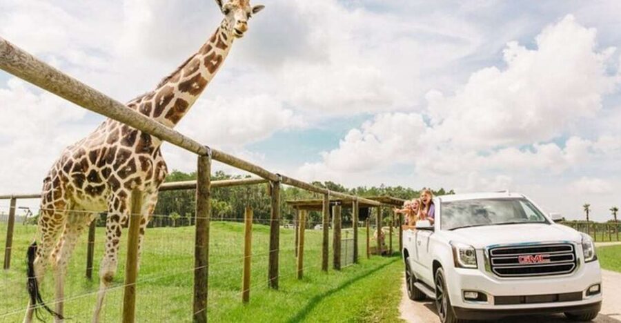 Orlando: Drive-Thru Safari Park at Wild Florida - Why the 5 mph pace matters