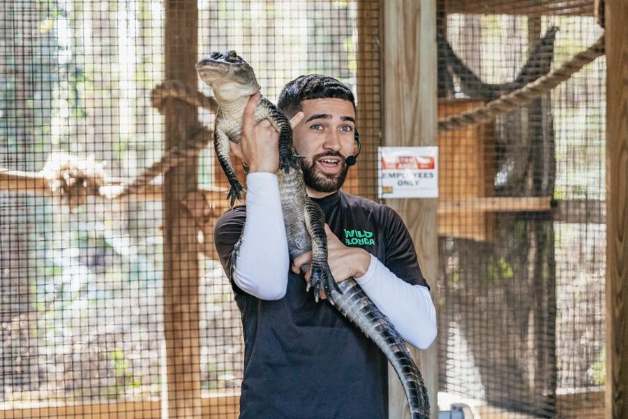 Orlando: Drive-Thru Safari Park at Wild Florida - Getting there and planning the day
