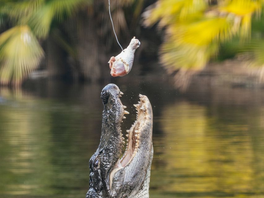 Orlando: Drive-Thru Safari Park at Wild Florida - What you see along the gravel route