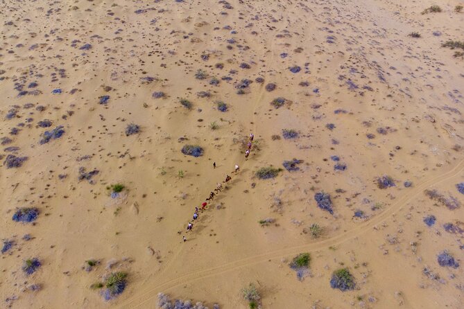 Overnight Camel Safari - Sleeping under the Stars - Key Details Before You Book