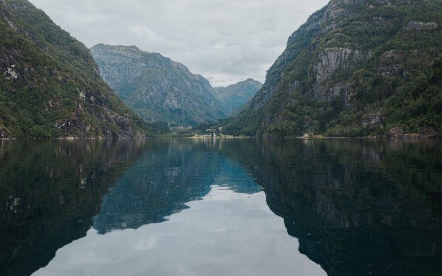 Øystese: Hardangerfjord RIB safari to the Fyksesund branch - A one-hour trip and its real value