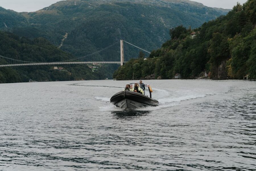 Øystese: Hardangerfjord RIB safari to the Fyksesund branch - The brief stop near Kvamsøy