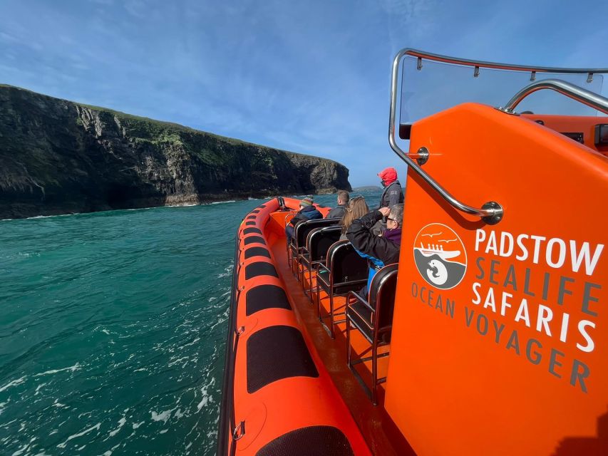 Padstow: Guided RIB Sealife Safari - Who should book this RIB safari?