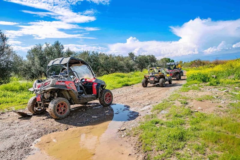Paphos: 4x4 ATV & Buggy Safari Tour to Aphrodite's Rock - Buggy or 4x4 ATV: choosing the right ride