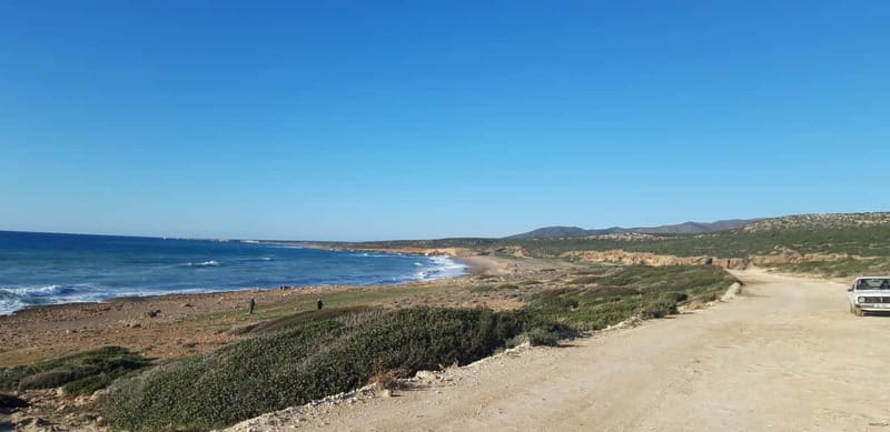 Paphos: Buggy Safari to Akamas Peninsula with Lunch - Who will enjoy this buggy safari?