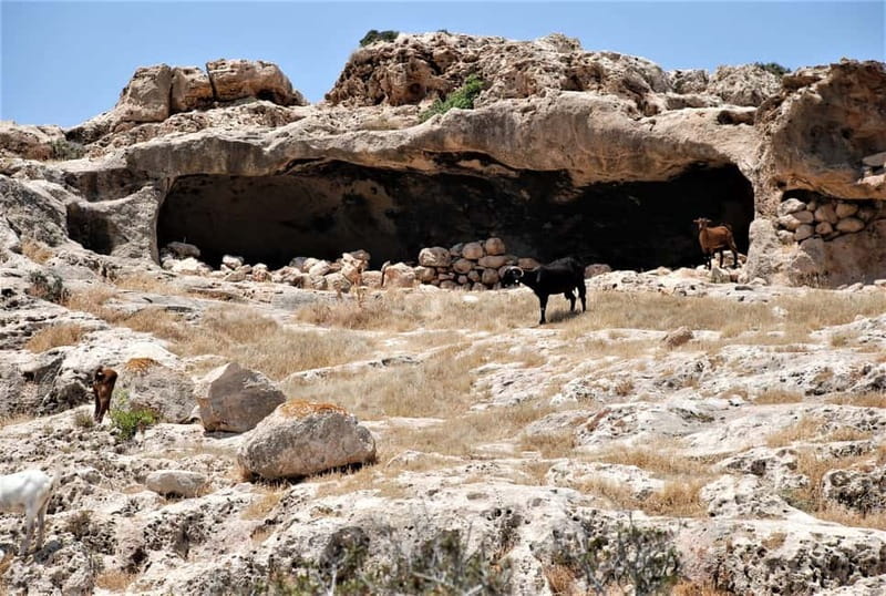 Paphos: Land Rover Jeep Safari Coastal Tour and Blue Lagoon - Lara Bay and the green turtle nesting coast