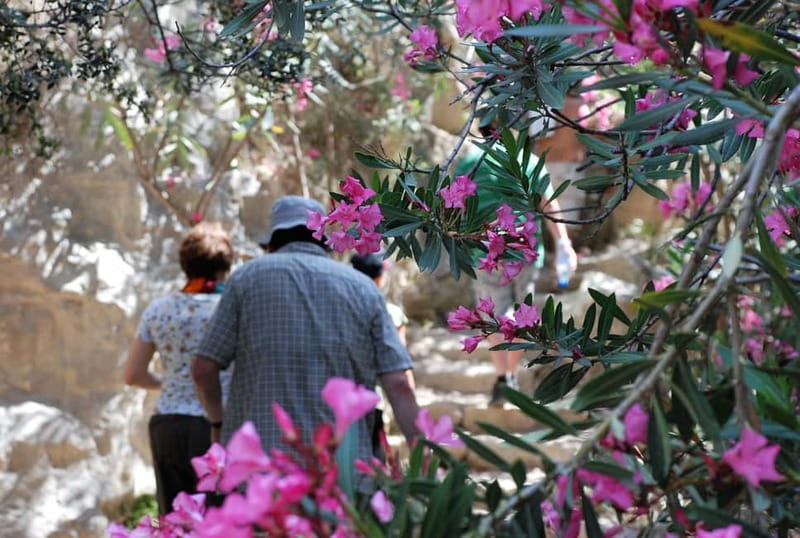 Paphos: Land Rover Jeep Safari Coastal Tour and Blue Lagoon - The guides make or break the day