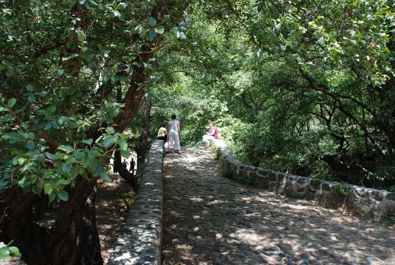 Paphos: Troodos-Kykkos Land Rover Treasure Jeep Safari - Key points before you book