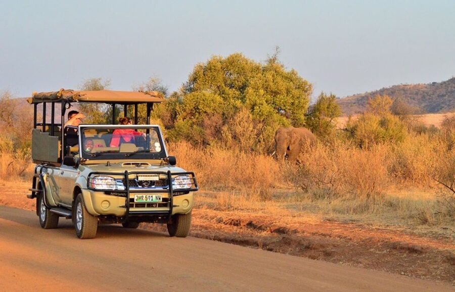 Pilanesberg Full-Day Shared Safari with Sun City Visit - Why Pilanesberg makes a strong day trip from Johannesburg