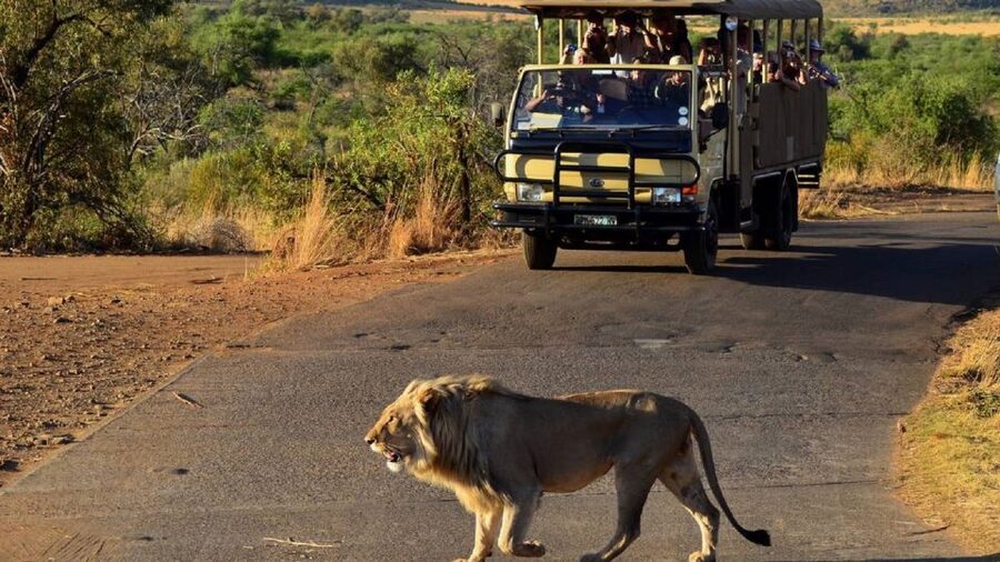 Pilanesberg Full-Day Shared Safari with Sun City Visit - The 6:00 AM departure and scenic road north