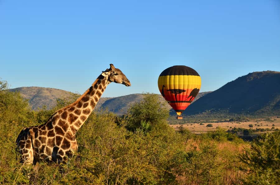 Pilanesberg National Park/Sun City Hot Air Balloon Safari - Floating over Pilanesberg at first light