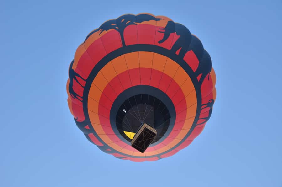 Pilanesberg National Park/Sun City Hot Air Balloon Safari - The early pickup and drive into the park