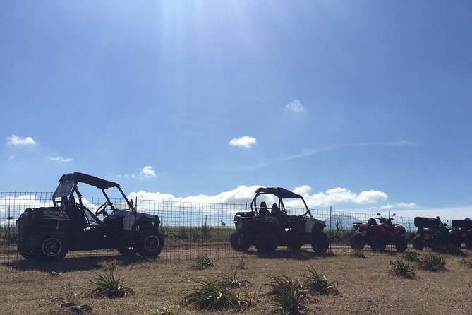 Polaris Buggy 4-Hour Safari from Rethymno Town - Coffee beside Potami Dam Lake
