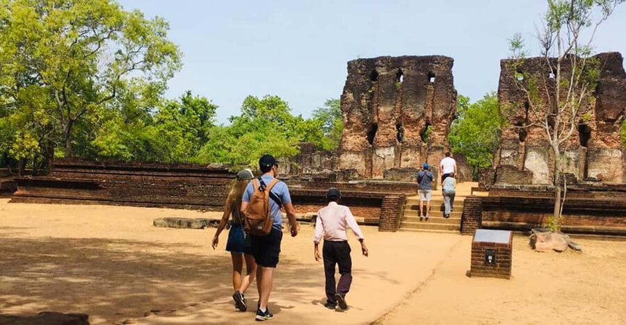 Polonnaruwa Sight Seeing Tour and Minneriya Elephant Safari - Timing, comfort, and what to bring