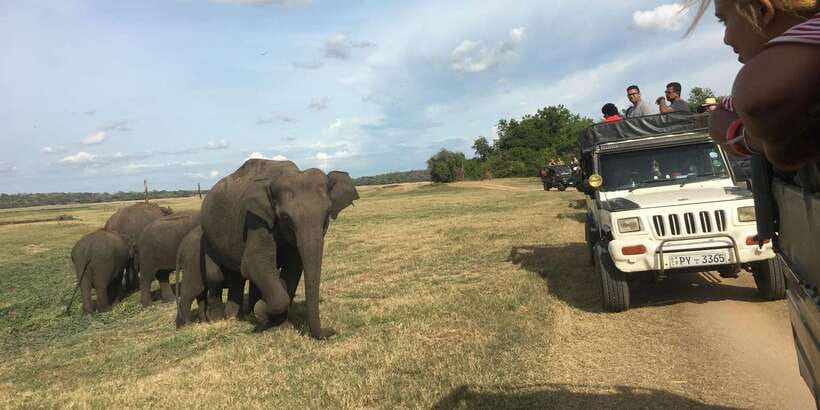 Polonnaruwa Sight Seeing Tour and Minneriya Elephant Safari - Gal Vihara and the carved Buddha figures