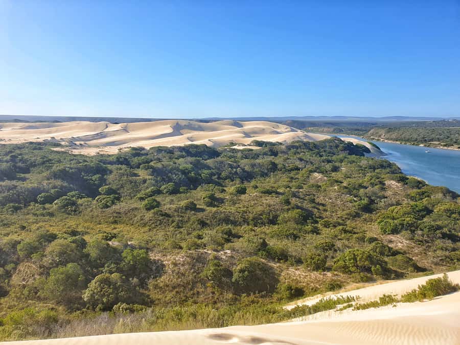 Port Elizabeth: 2-Day Addo Elephant Park Safari - Why Addo is such a strong short safari choice