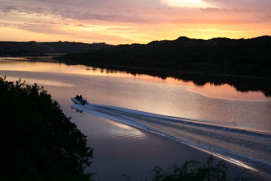 Port Elizabeth: 2-Day Addo Elephant Park Safari - What the giraffe tracking experience really means