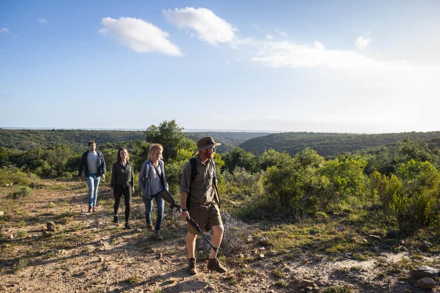 Port Elizabeth: 2-Day Addo Elephant Park Safari - One night at a four-star lodge