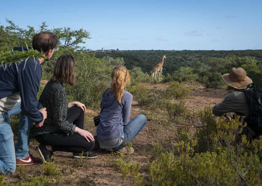 Port Elizabeth: 2-Day Addo Elephant Park Safari - Guides can shape the whole experience