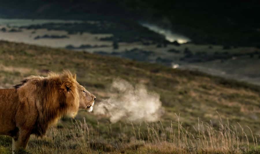 Port Elizabeth: 2-Day Addo Elephant Park Safari - The full-day Addo drive