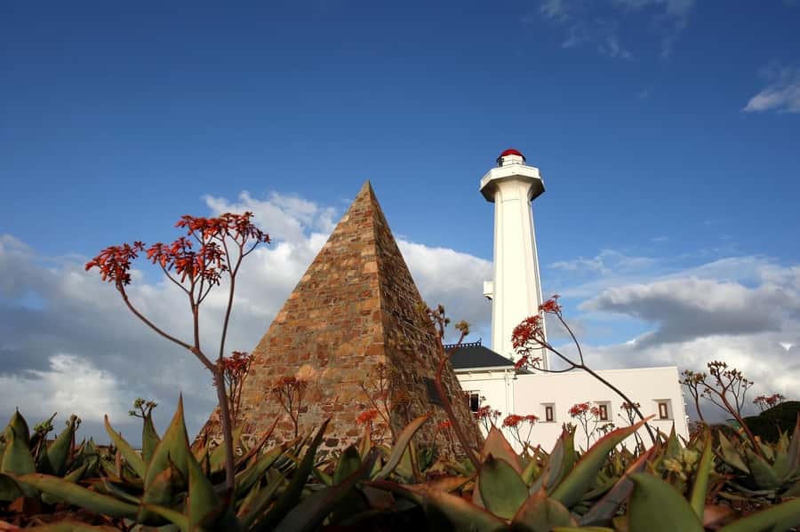 Port Elizabeth: 4x4 Wildlife Safari & City Sightseeing Tour - Wezandla crafts and the first taste of local life
