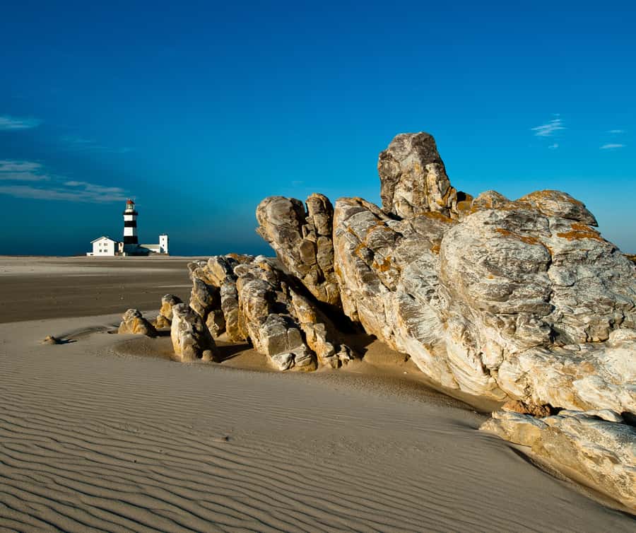 Port Elizabeth: 4x4 Wildlife Safari & City Sightseeing Tour - Cape Recife Lighthouse and the open coast
