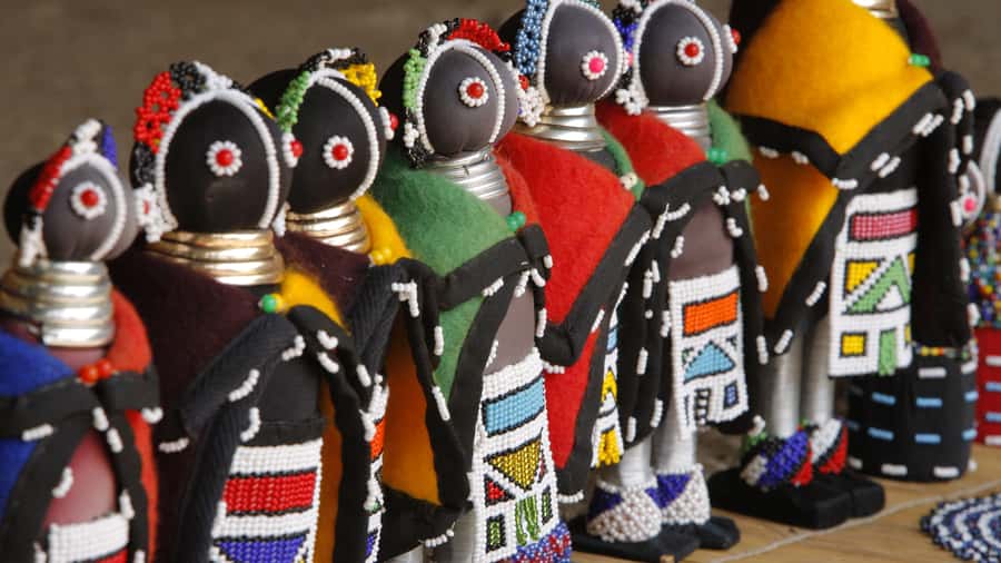 Port Elizabeth: 4x4 Wildlife Safari & City Sightseeing Tour - SANCCOB and rescued African penguins