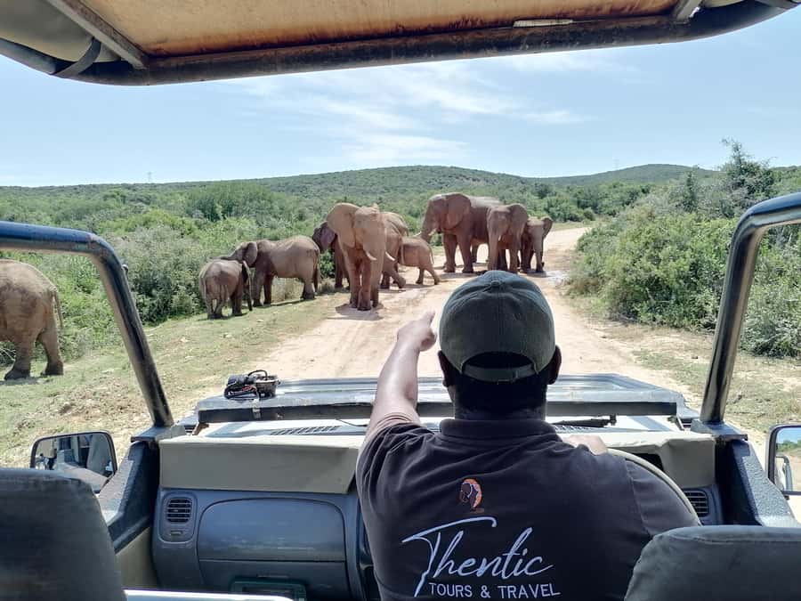Port Elizabeth: Schotia Private Game Reserve Safari - The guide can shape the whole experience