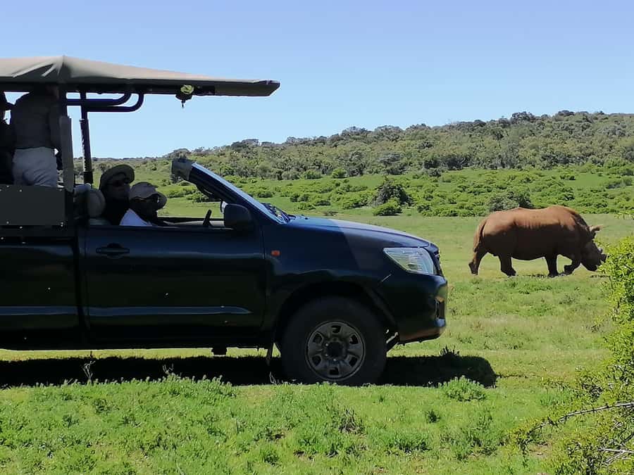 Port Elizabeth: Schotia Private Game Reserve Safari - Who should book this safari?