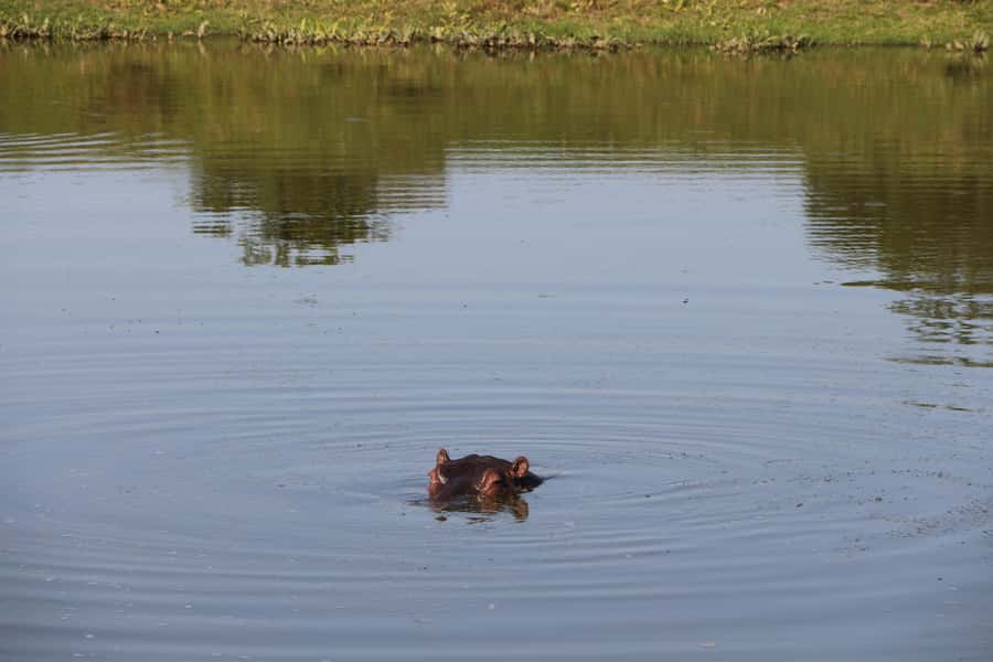 Port Elizabeth: Schotia Private Game Reserve Safari - The ride to the reserve
