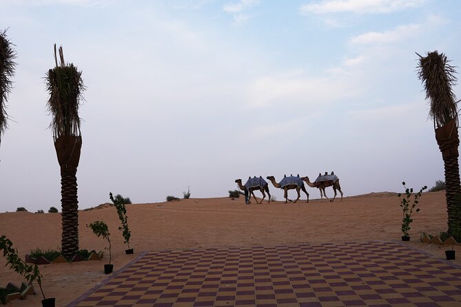 Premium Deluxe Dubai Safari with Camel Ride, Sandboard & BBQ - Who should book this Dubai desert safari?