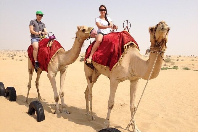 Premium Desert Safari Dubai: Desert Camping & Dune Bashing - Who will enjoy this desert evening most