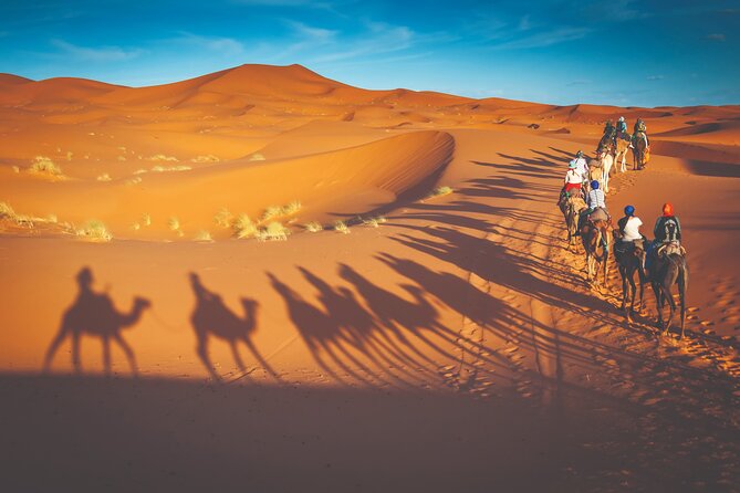 Premium Desert Safari with BBQ Dinner - Dubai - Sunset in the desert