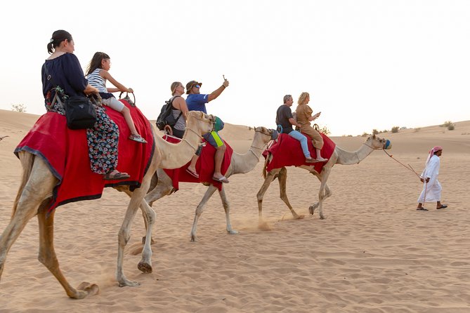 Premium Dubai Desert Safari with BBQ Dinner in the Red Dunes - Dinner: a useful buffet for the price