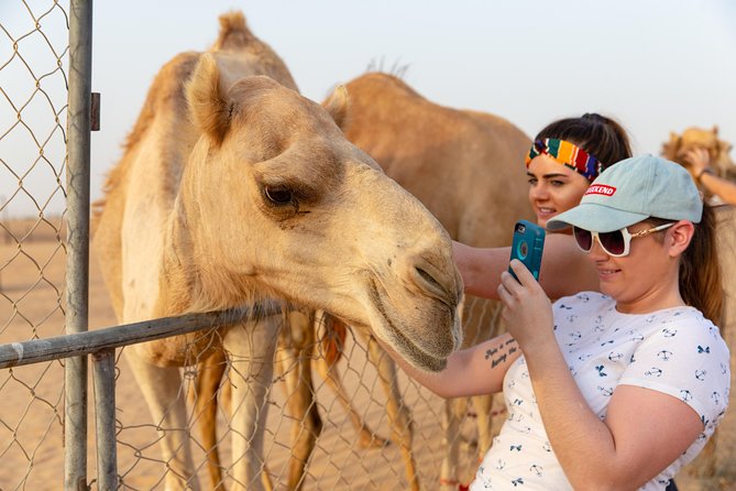Premium Dubai Desert Safari with BBQ Dinner in the Red Dunes - Tanoura, fire performance, and belly dancing