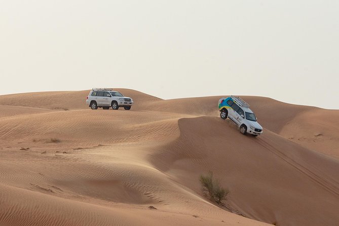 Premium Dubai Desert Safari with BBQ Dinner in the Red Dunes - Lahbab and the camel farm